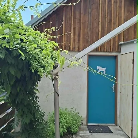 Letni U Stare Cihelny * Skvoretice